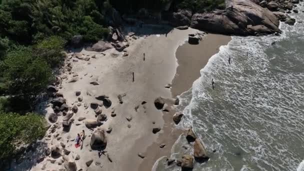 Пляж Сакіньйо Флоріанополіс Аерофотозйомка — стокове відео