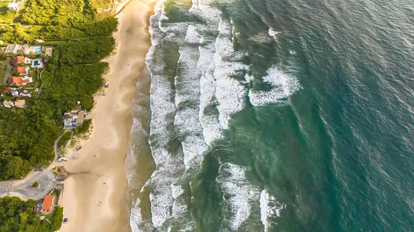 stock image Santinho Beach in Florianopolis. Aerial view from drone. Brazil