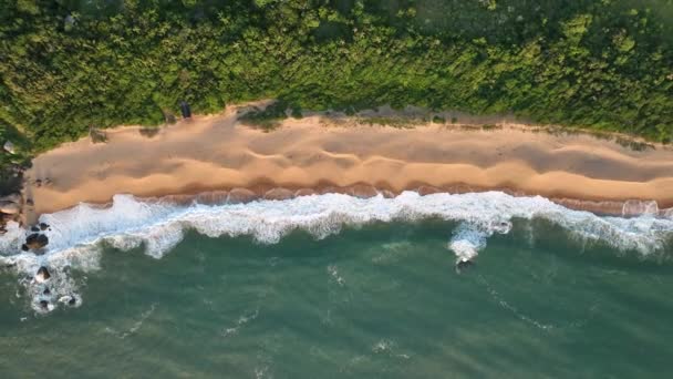 Balneario Camboriu Santa Catarinában Taquaras Beach Laranjeiras Beach Légi Felvétel — Stock videók