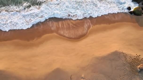 Balneario Camboriu Santa Catarině Taquaras Beach Laranjeiras Beach Letecký Pohled — Stock video