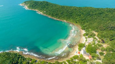 Santa Catarina 'daki Bombinhas Plajı. İHA 'yla çekilmiş bir hava görüntüsü. Brezilya. Güney Amerika.