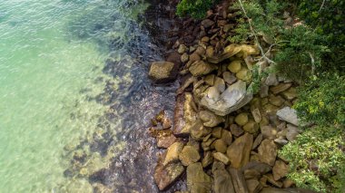 Santa Catarina 'daki Bombinhas Plajı. İHA 'yla çekilmiş bir hava görüntüsü. Brezilya. Güney Amerika.
