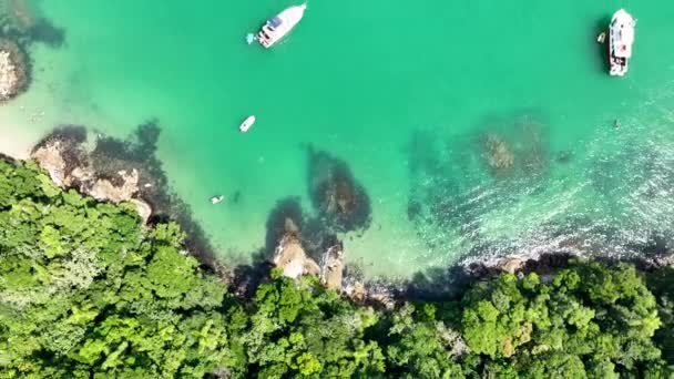 Пляж Бомбінехас Санта Катаріні Вид Повітря Зроблений Допомогою Безпілотника Бразилія — стокове відео