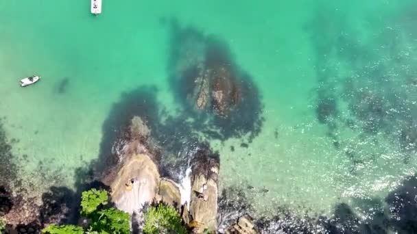 Пляж Bombinhas Санта Катарине Вид Воздуха Беспилотника Бразилия Южная Америка — стоковое видео