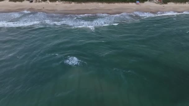 フロリアン ポリス 日の出の間にカンペチのビーチ ブラジル タバレス — ストック動画