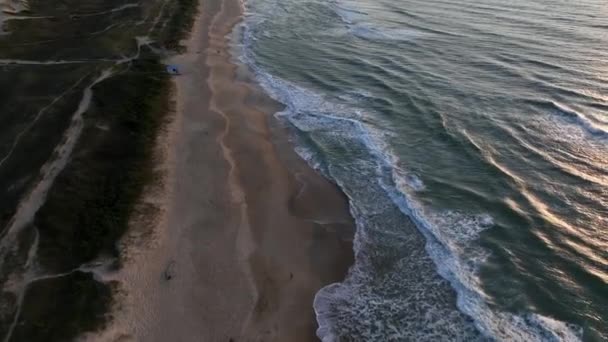 Florianpolis Campeche Plajı Güneş Doğarken Brezilya Rio Tavares Mahallesi — Stok video