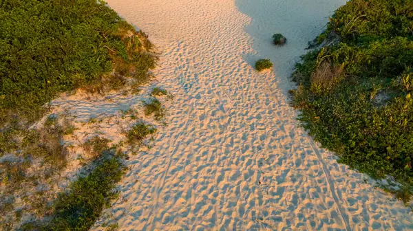 Florianpolis, Campeche plajı güneş doğarken. Brezilya.