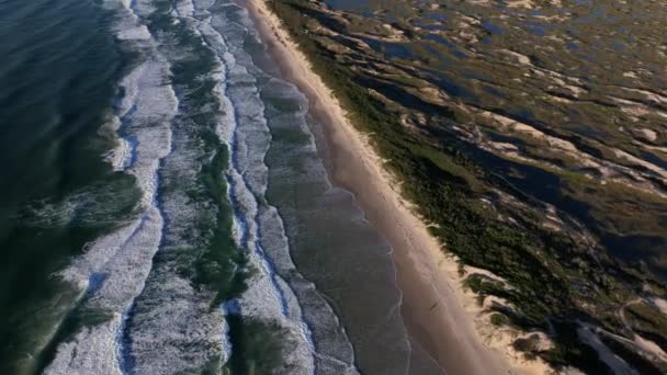 Florianopolis Joaquina Sahili Gün Doğumunda Hava Görüntüsü — Stok video