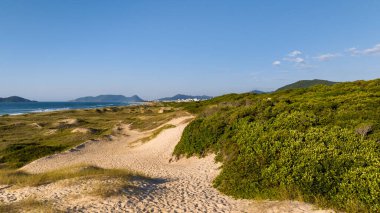Florianpolis, Campeche plajı güneş doğarken. Brezilya. 