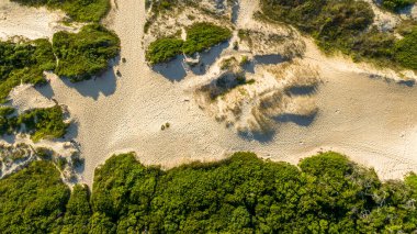 Florianpolis, Campeche plajı güneş doğarken. Brezilya. 