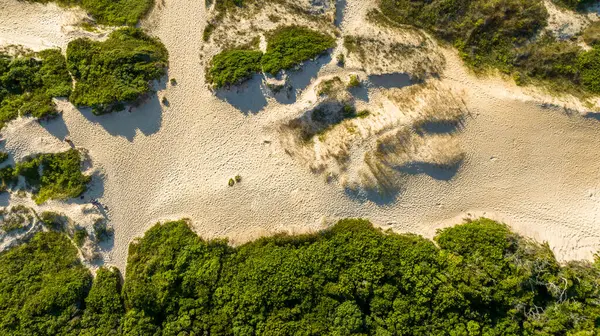 Florianpolis, Campeche plajı güneş doğarken. Brezilya. 