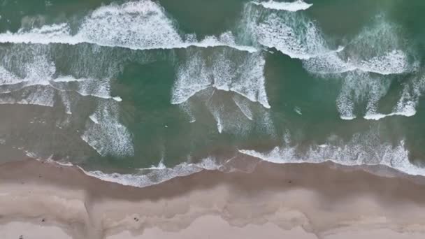 Image Aérienne Guarda Emba Beach Situé Dans État Santa Catarina — Video