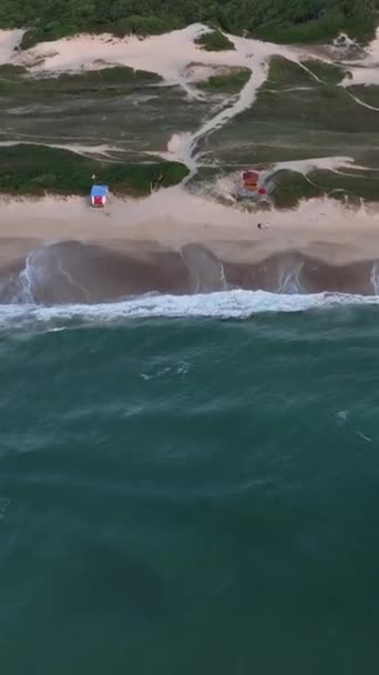 Florianpolis Campeche Beach Úsvitu Brazílie Rio Tavares Svislé Video — Stock video