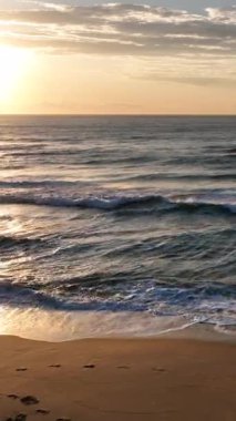 Florianpolis, Campeche plajı güneş doğarken. Brezilya. Rio Tavares Mahallesi. Dikey video.