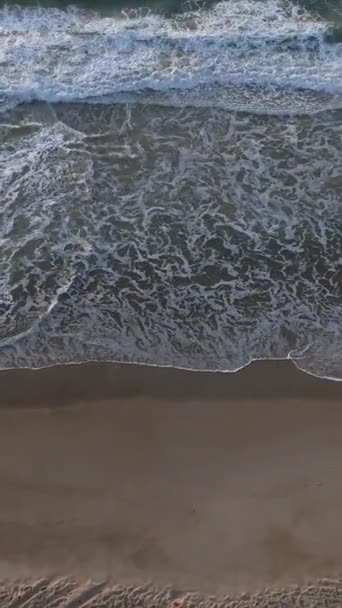 フロリアン ポリス 日の出の間にカンペチのビーチ ブラジル タバレス地区 バーティカルビデオ — ストック動画