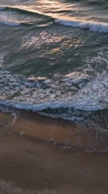 Florianpolis, Campeche plajı güneş doğarken. Brezilya. Rio Tavares Mahallesi. Dikey video.