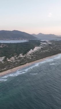 Florianpolis, Campeche plajı güneş doğarken. Brezilya. Rio Tavares Mahallesi. Dikey video.