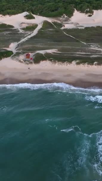 Florianpolis Playa Campeche Amanecer Brasil Barrio Rio Tavares Vídeo Vertical — Vídeos de Stock