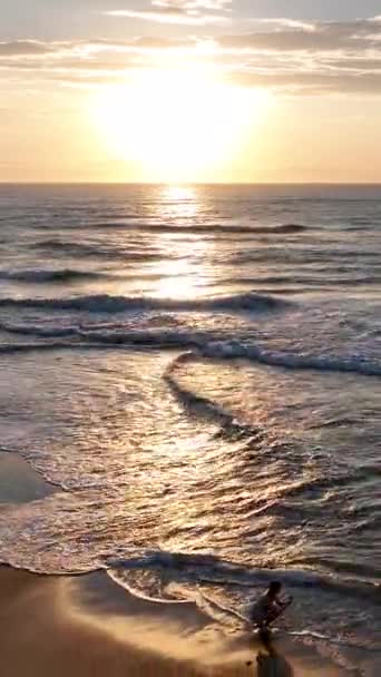 日出时在坎佩切海滩的弗洛里安波利斯巴西 里约塔瓦雷斯社区垂直录像 — 图库视频影像