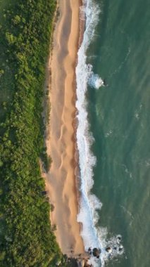 Santa Catarina 'daki Balnear io Camboriu. Taquaras Sahili ve Laranjeiras Sahili. Manzaradaki hava manzarası. Brezilya. Dikey video