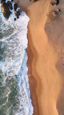 Santa Catarina 'daki Balnear io Camboriu. Taquaras Sahili ve Laranjeiras Sahili. Manzaradaki hava manzarası. Brezilya. Dikey video