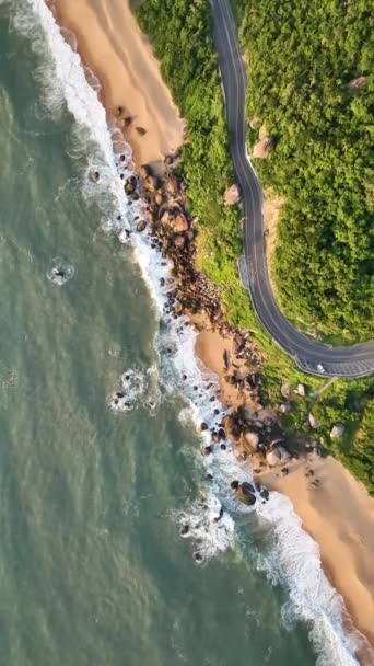サンタ カタリーナのバルネリオ カンボラ タカラスビーチとラニジェラスビーチ 風景の中の空想的な眺め ブラジル バーティカルビデオ — ストック動画
