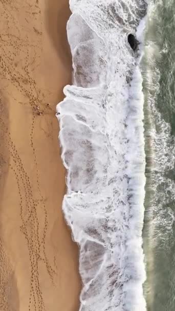 Balneario Camboriu Santa Catarina Taquaras Beach Laranjeiras Beach Vista Aerea — Video Stock