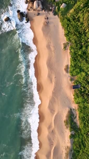 Balneario Camboriu Santa Catarina Taquaras Beach Laranjeiras Beach Vue Aérienne — Video