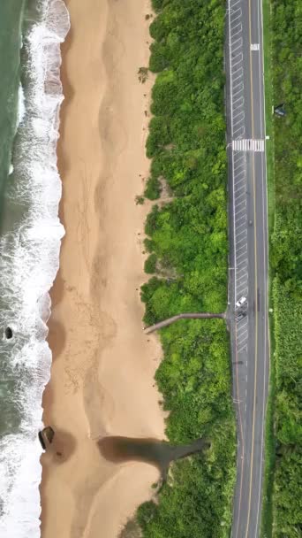 Balneario Camboriu Santa Catarina Taquaras Beach Laranjeiras Beach Luchtfoto Het — Stockvideo