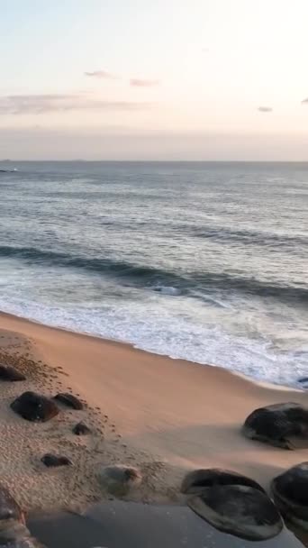 Balneario Camboriu Santa Catarina Taquaras Beach Laranjeiras Beach Luchtfoto Het — Stockvideo