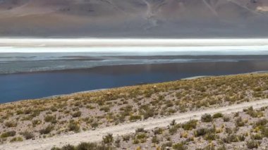Şili 'deki Atacama Çölü. Hava görüntüsü. 27. yol, araba yolculuğu sırasında yol. Salar de Loyoques.