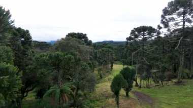 Urubici, Santa Catarina, Brezilya 'da. Hava görünümü.