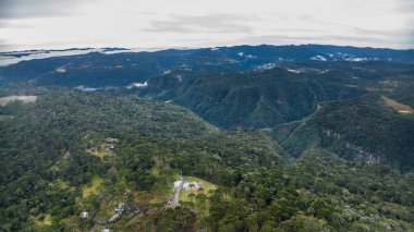 Urubici, Santa Catarina, Brezilya 'da. Hava görüntüsü. Araucaria ağaçları.