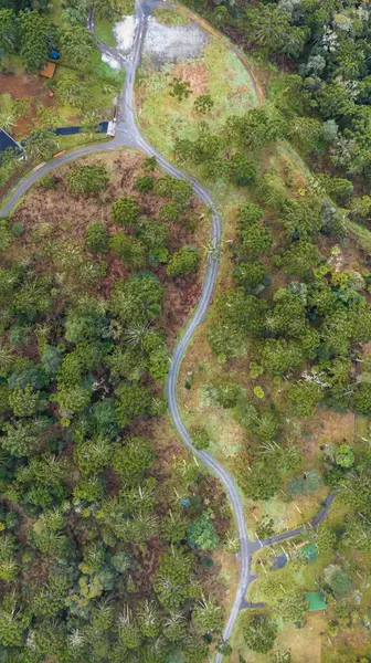 stock image Urubici in Santa Catarina, Brazil. Aerial view. Araucaria trees.