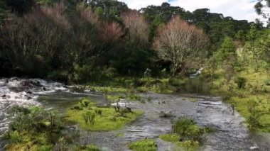 Urubici, Santa Catarina, Brezilya 'da. Hava görüntüsü. Nehir yavaş çekimde