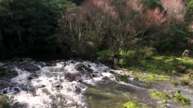 Urubici, Santa Catarina, Brezilya 'da. Hava görüntüsü. Nehir yavaş çekimde