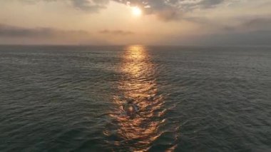 Baleia Franca, Brezilya 'nın Florianopolis şehrinde yaşayan Brezilyalı bir balina. Hava görünümü.