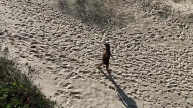 Sahildeki kum tepelerinde yürüyen ve koşan bir adam. Adamı takip eden İHA 'lı hava görüntüsü. Yukarıdan görüntü. Sağlık kavramı.