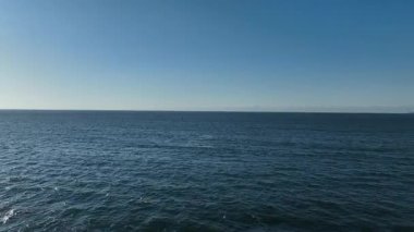 Baleia Franca, Brezilyalı bir balina Florianopolis, Brezilya 'dan arıyor. Sağ balinalar buzağılarıyla Florianopolis kıyısında yüzüyorlar..