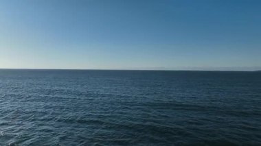 Baleia Franca, Brezilyalı bir balina Florianopolis, Brezilya 'dan arıyor. Sağ balinalar buzağılarıyla Florianopolis kıyısında yüzüyorlar..