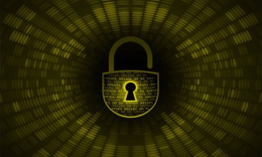 İkili veri kodunda bir deliğe kilitlenin. güvenlik kavramı