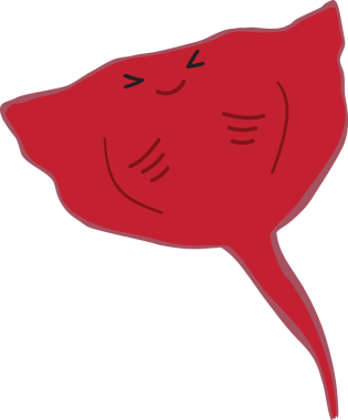 Şirin vatoz karikatür, balık deniz hayvanı.