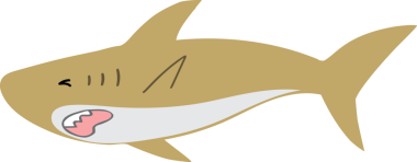 Şirin köpekbalığı karikatürü, deniz hayvanı