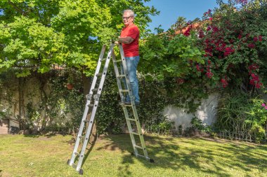 Bahçede gözlüklü yaşlı bir erkek merdivenin başında böcek var mı diye meşe yapraklarını kontrol ediyor.