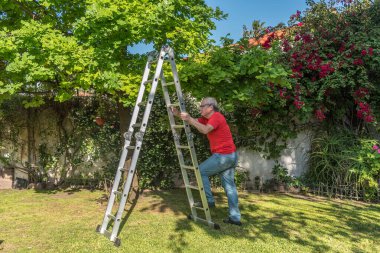 Bahçede gözlüklü son sınıf erkek böcek var mı diye meşe yapraklarını kontrol etmek için merdivene tırmanıyor.
