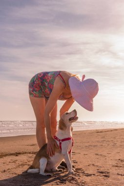 Kadın ve köpeği sahilde günün tadını çıkarıyorlar. Yaz konsepti.
