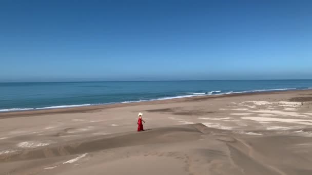 Mulher Chapéu Vestido Gostando Andar Sozinho Uma Grande Praia Solitária — Vídeo de Stock