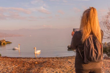 Gün batımında doğayı keşfederken gölde cep telefonuyla kuğuları fotoğraflayan bir kadın. Teknoloji ve seyahat kavramı.