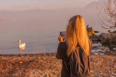 Cep telefonlu bir kadın gün batımında gölde kuğuların fotoğrafını çekiyor. Teknoloji ve seyahat kavramı.