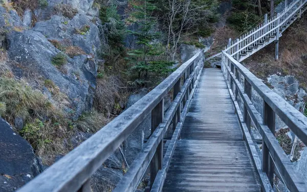 Blick Auf Einen Leeren Hölzernen Fußweg Auf Einem Berg Wald — Stockfoto